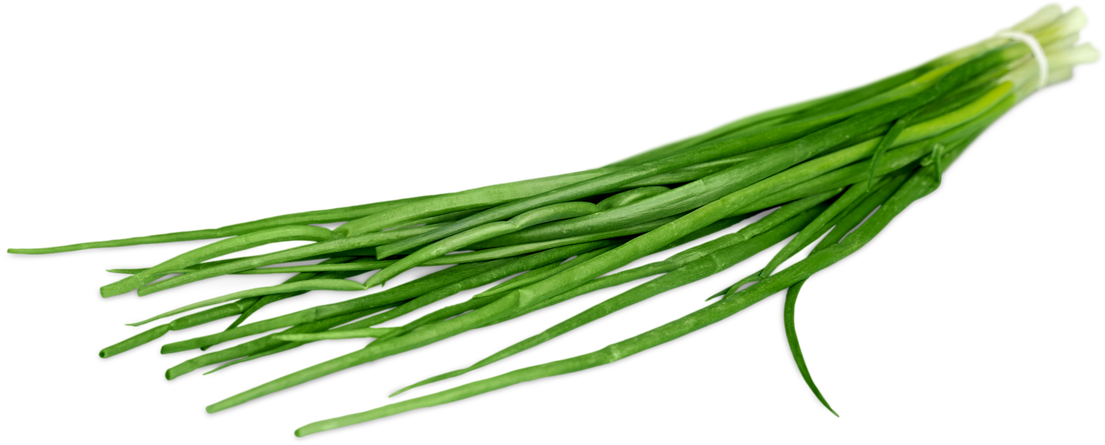 Fresh Spring Onions