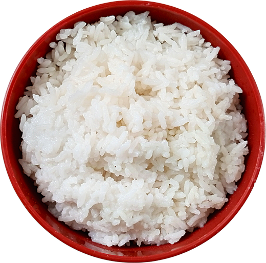 Rice Bowl